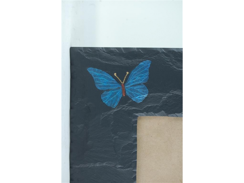 butterfly-on-slate-1