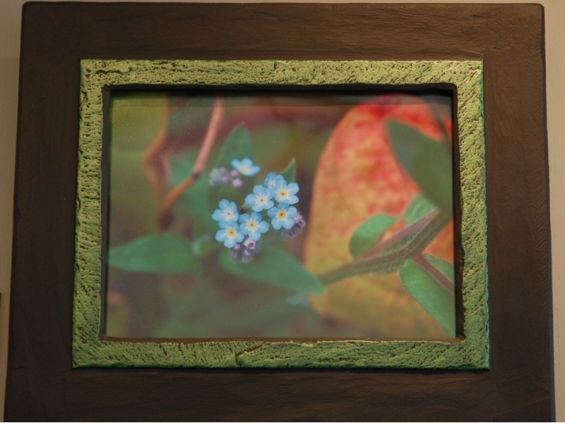 forget-me-not-flower-in-a-picture-frame-by-heartworks-1-1